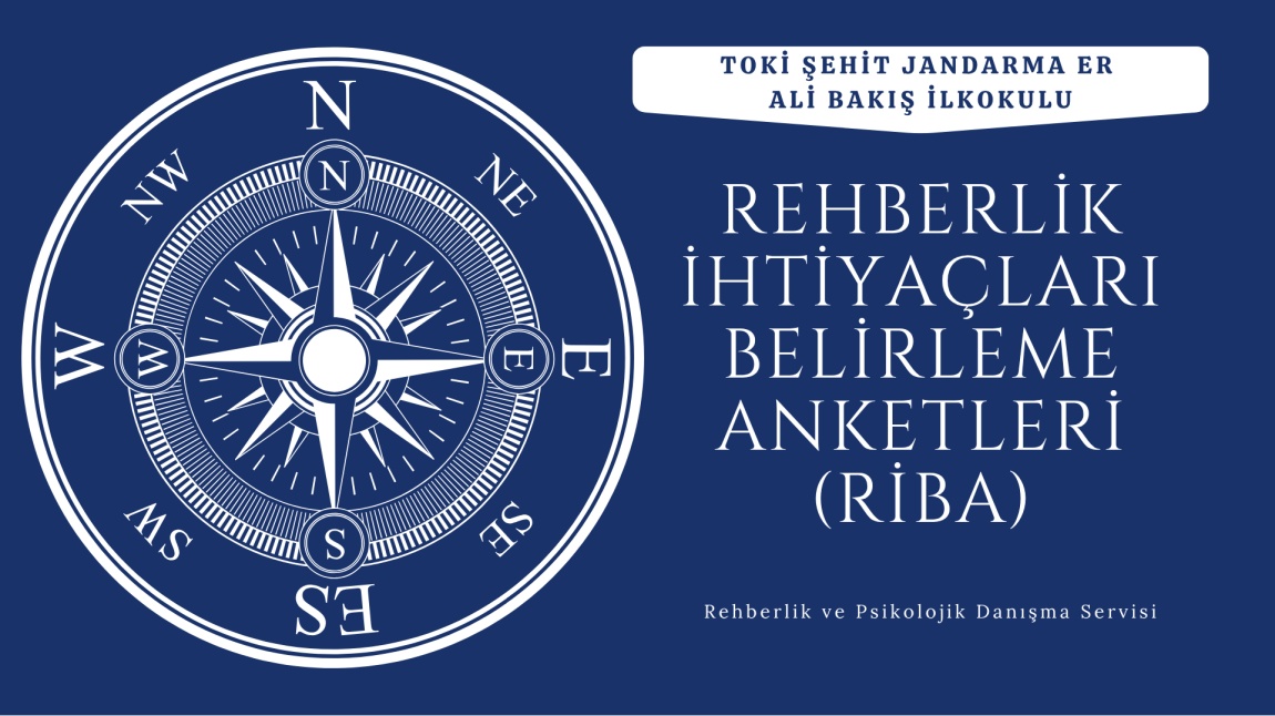 REHBERLİK İHTİYACI BELİRLEME ANKETLERİ (RİBA)