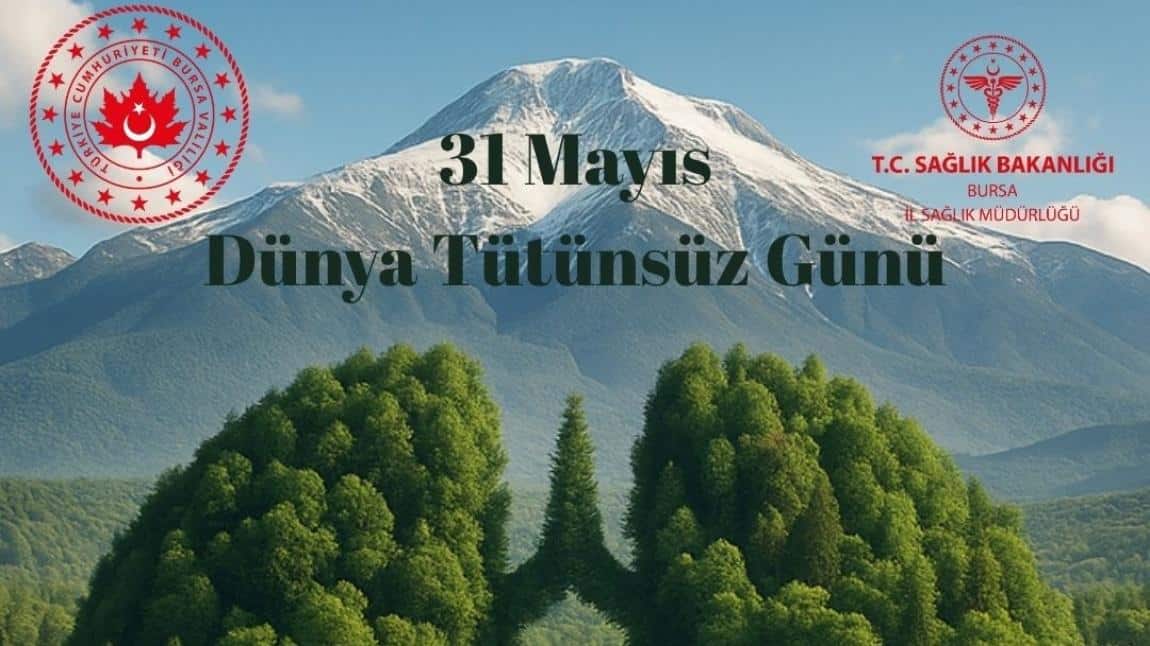 31 MAYIS DÜNYA TÜTÜNSÜZ GÜNÜ